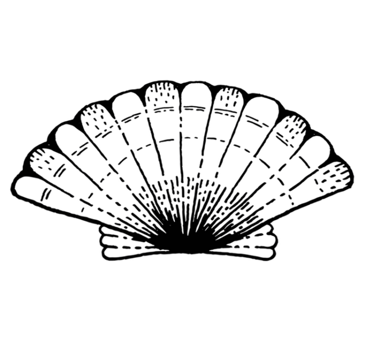 Tapis vinyle nature accent à motif de coquillage - TenStickers