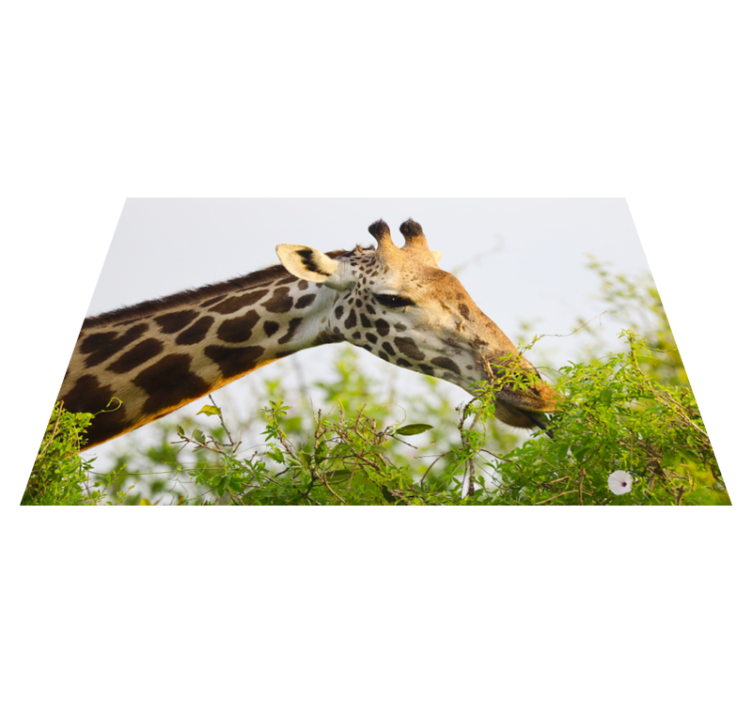 Tapis vinyle animal Tapis en vinylee girafe haute animal - TenStickers