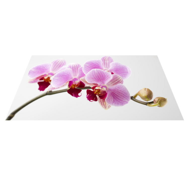 Tapis vinyle plantes conception d'orchidée rose - TenStickers