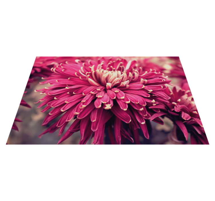 Tapis vinyle plantes chrysanthème réaliste - TenStickers