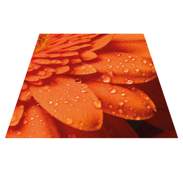 Tapis vinyle plantes pétales orange vif - TenStickers