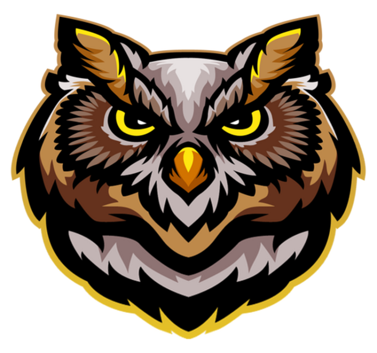 Tapis vinyle animal art du visage de hibou - TenStickers