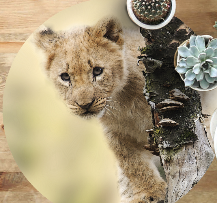 Tapis vinyle motif animal lionceau curieux - TenStickers