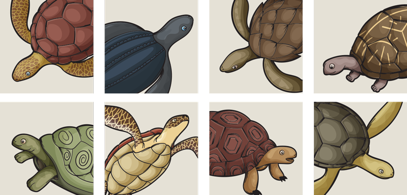 Tapis vinyle animal motif varié de tortues - TenStickers