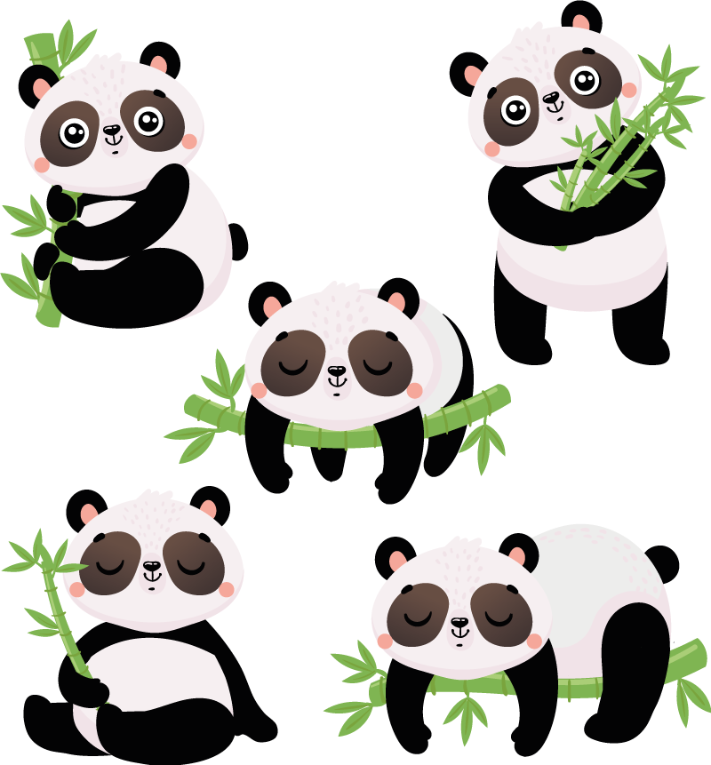 Tapis vinyle animal illustrations de pandas mignons - TenStickers