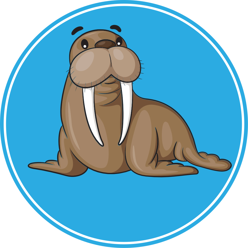 Tapis vinyle animal personnage mignon de morse - TenStickers