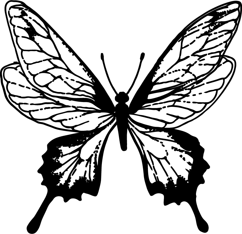Tapis vinyle animal silhouette de papillon gracieux - TenStickers