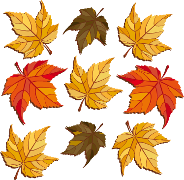Tapis vinyle plantes feuilles d'automne - TenStickers