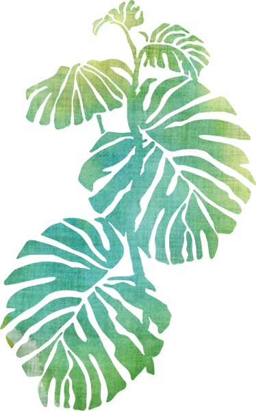Tapis vinyle plantes aquarelle côtes d'adam - TenStickers
