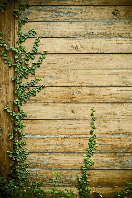 Tapis vinyle plantes lianes sur bois - TenStickers