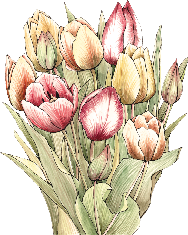 Tapis vinyle plantes bouquet de tulipes colorées - TenStickers