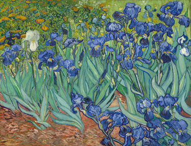 Tapis vinyle plantes fleurs de van gogh - TenStickers