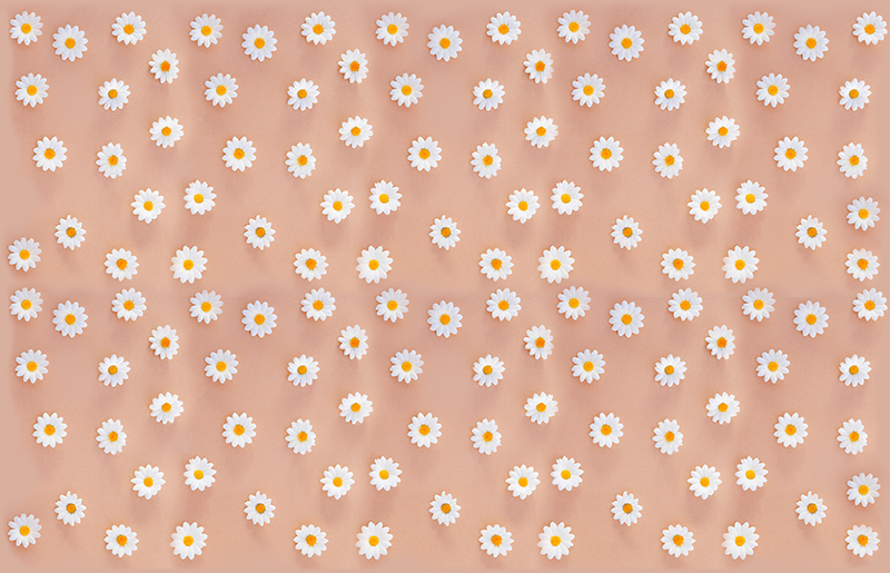Tapis vinyle plantes motif marguerites moderne - TenStickers