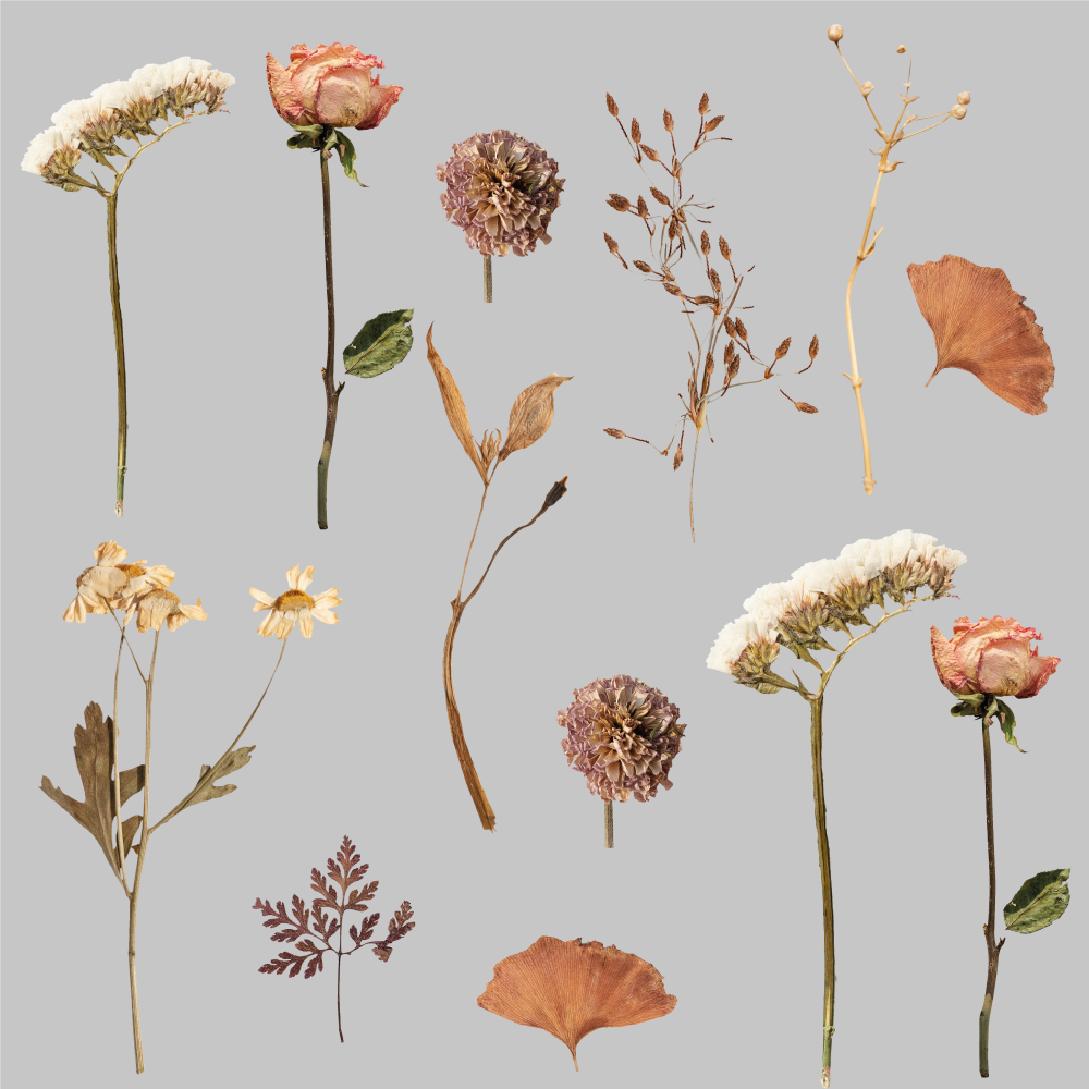 Tapis vinyle plantes motifs feuilles fleurs séchées - TenStickers