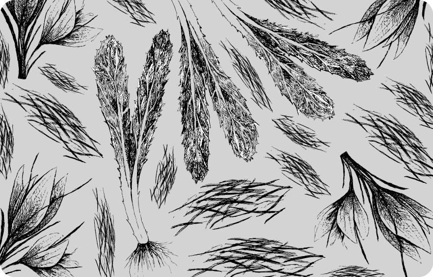 Tapis vinyle plantes séchées dessinées à la main - TenStickers