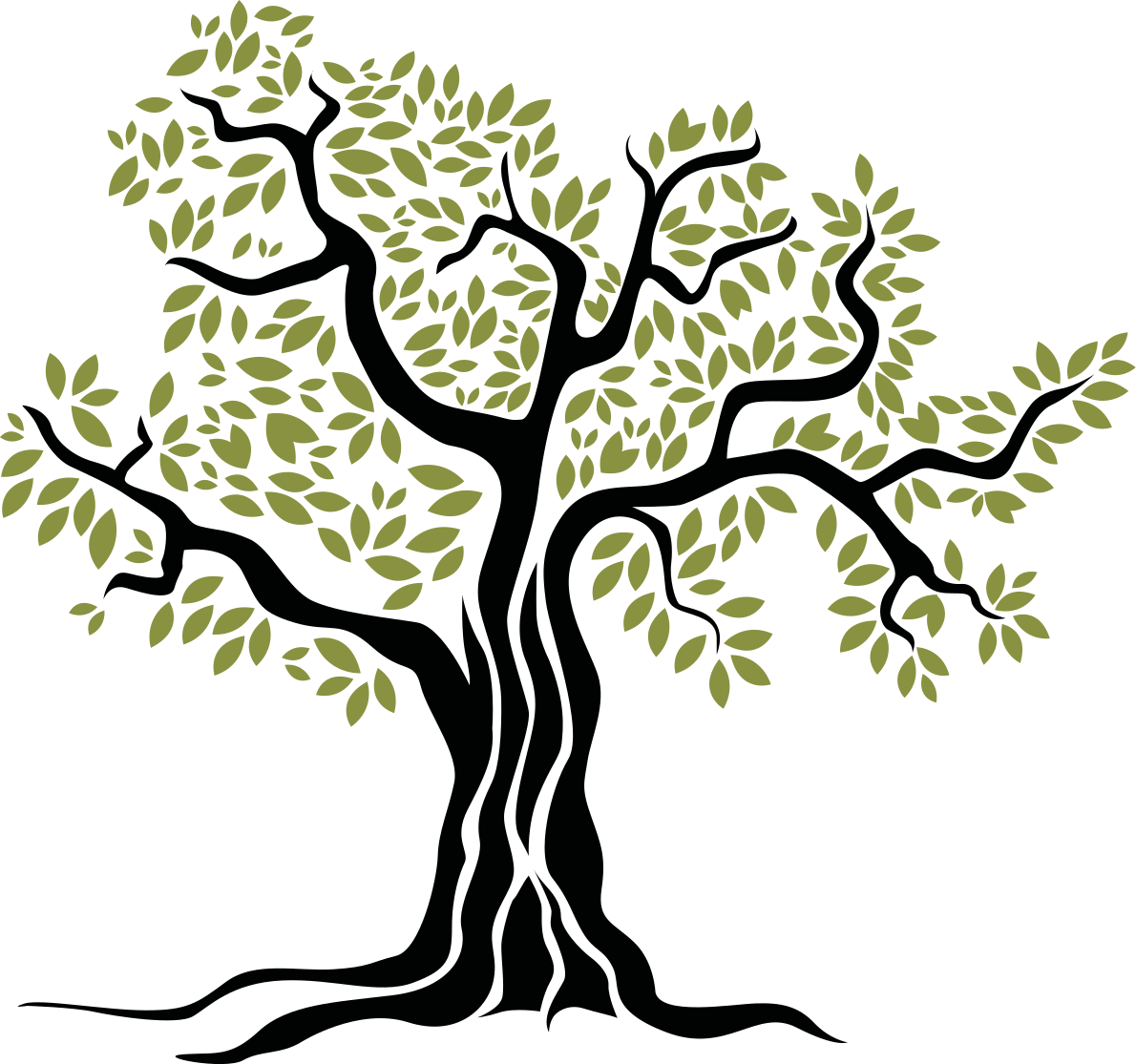 Tapis vinyle plantes arbre olive noir aux feuilles vertes - TenStickers