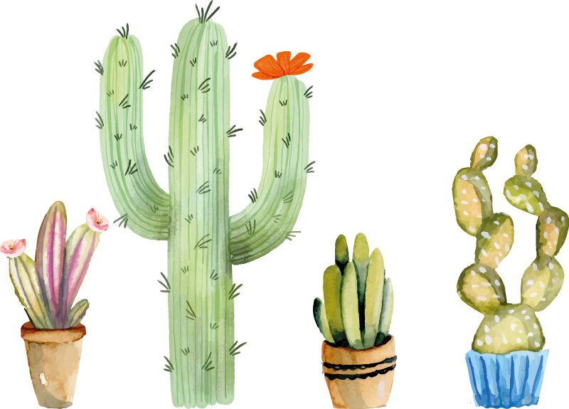 Tapis vinyle salle à manger assortiment de cactus - TenStickers