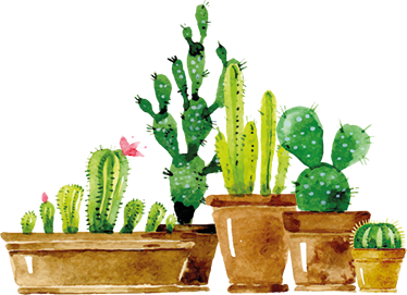 Tapis vinyle plantes jardin de cactus fait maison - TenStickers