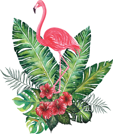 Tapis vinyle plantes flamant rose tropical grand - TenStickers