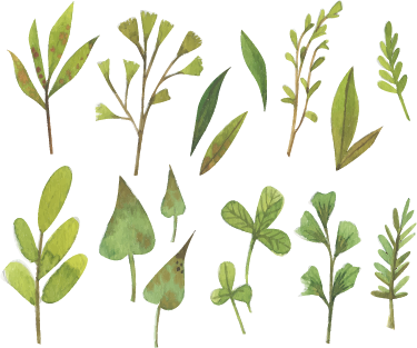 Tapis vinyle plantes feuilles aquarelle petites - TenStickers