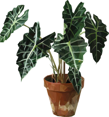 Tapis vinyle plantes pot de fleurs géométrique - TenStickers