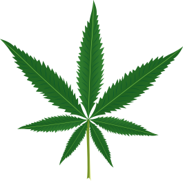 Tapis vinyle plantes feuille de marihuana - TenStickers