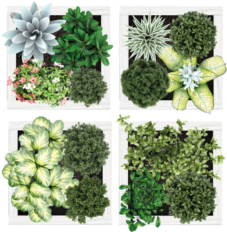 Tapis vinyle plantes carreaux de jardin verticaux - TenStickers