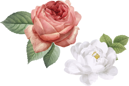 Tapis vinyle chambre roses blanches et roses - TenStickers