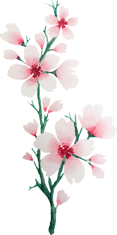 Tapis vinyle chambre design de jolies fleurs blanches - TenStickers