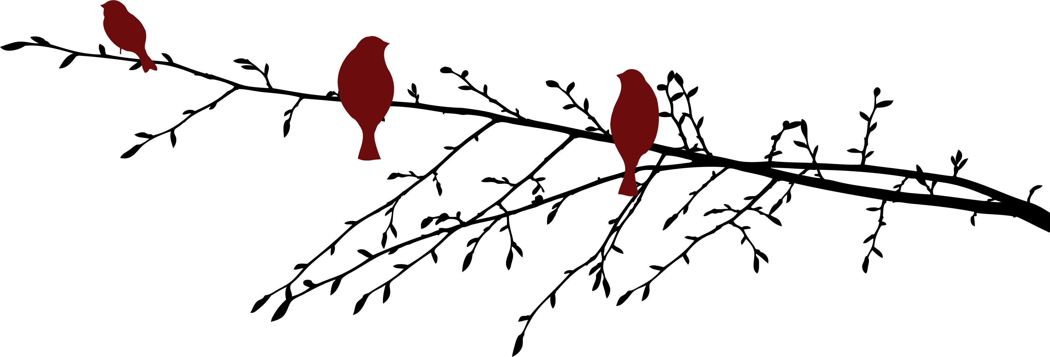 Tapis vinyle chambre oiseaux rouges sur branche - TenStickers
