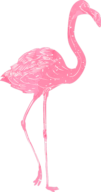 Tapis vinyle chambre flamenco aquarelle - TenStickers