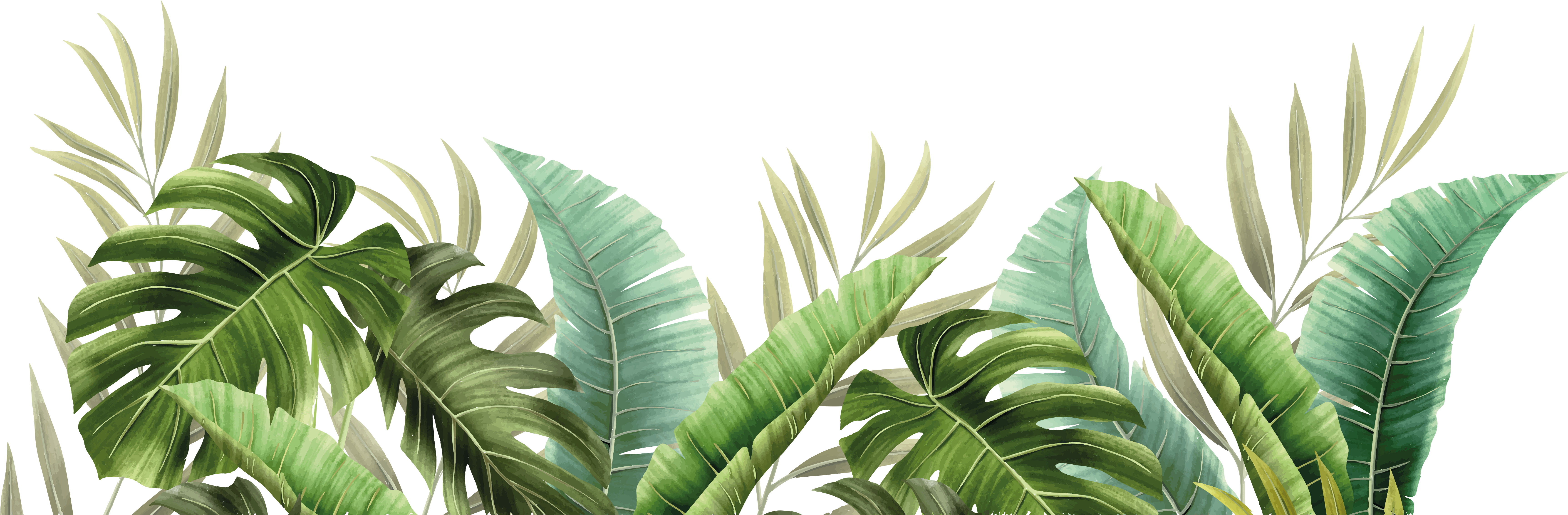 Tapis vinyle salle de bain plantes tropicales - TenStickers