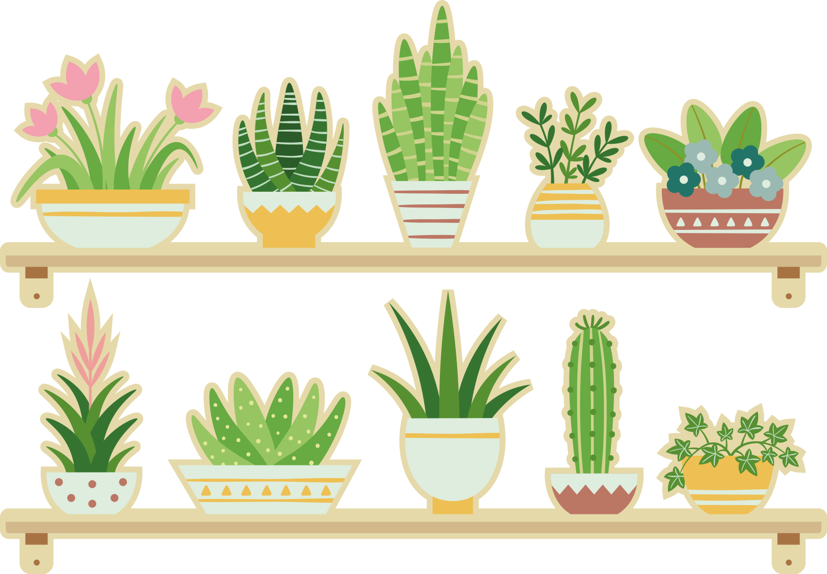 Tapis vinyle cuisine étagère avec plantes cactus - TenStickers