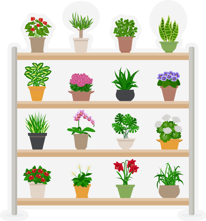 Tapis vinyle cuisine plantes d'intérieur sur étagères - TenStickers
