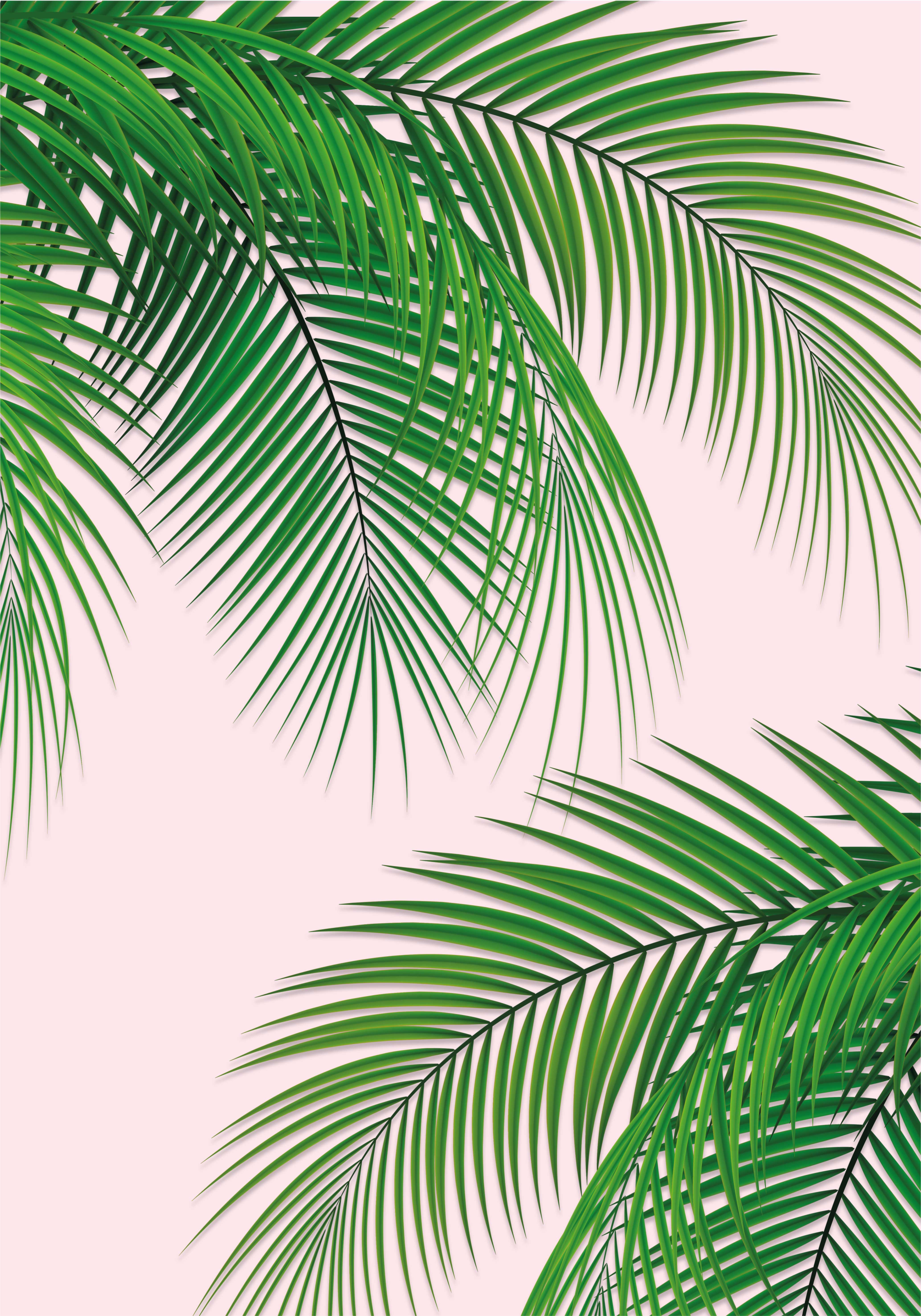 Tapis vinyle plantes feuilles tropicales - TenStickers