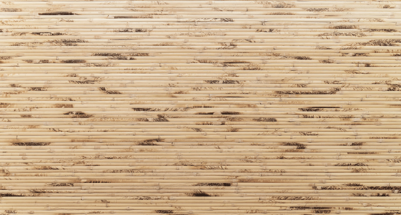 Tapis vinyle entrée bâtons en bois marron clair - TenStickers
