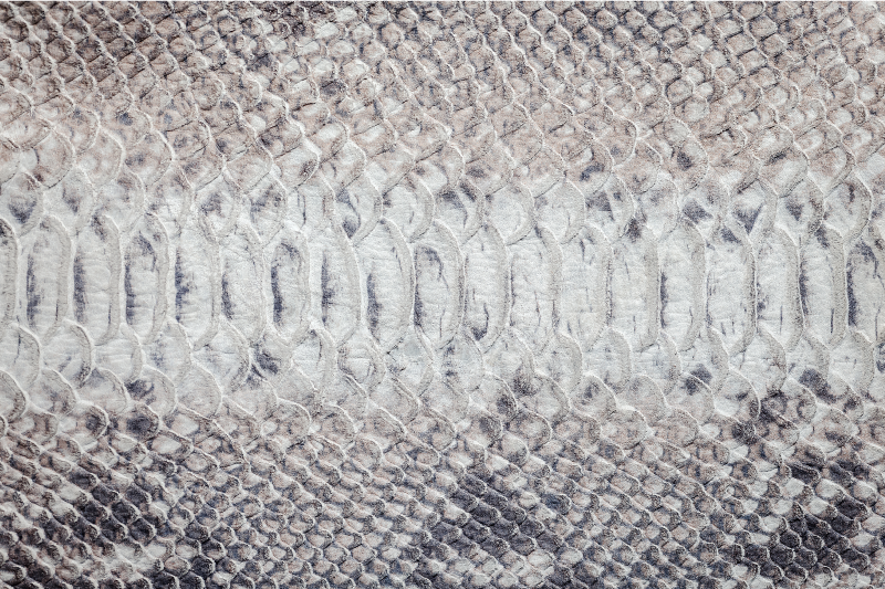 Tapis vinyle gris motif serpent gris - TenStickers