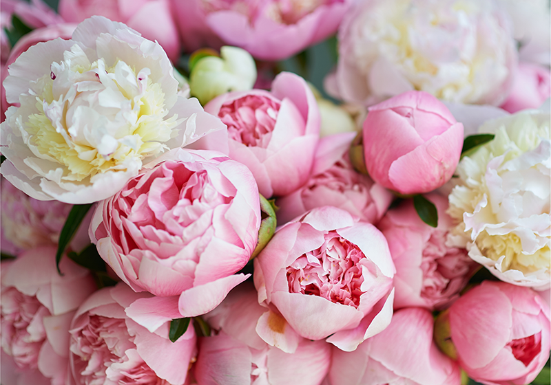 Tapis vinyle rose bouquet de roses roses - TenStickers