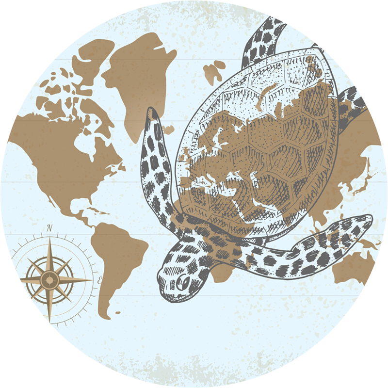 Tapis vinyle carte du monde carte boussole tortue - TenStickers
