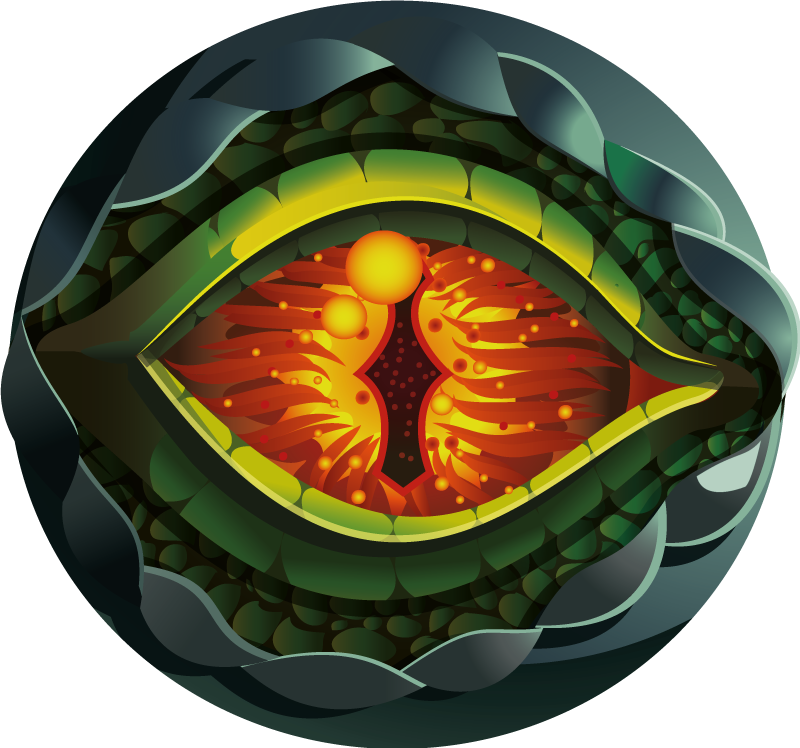 Tapis vinyle nature œil de la nature abstraite - TenStickers