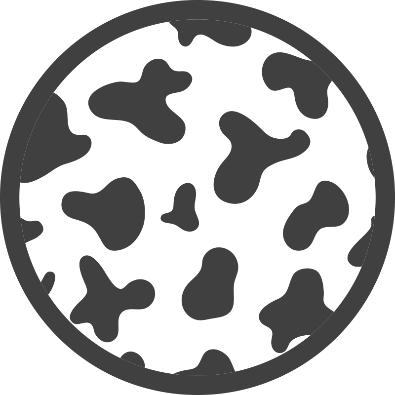 Tapis en vinyle noir et blanc à imprimé vache - TenStickers