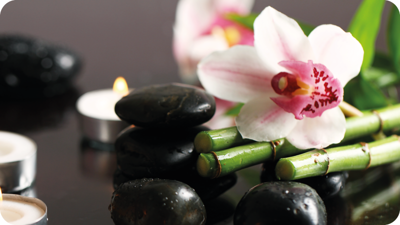 tapis vinyle cuisine Orchidée nostalgique - TenStickers