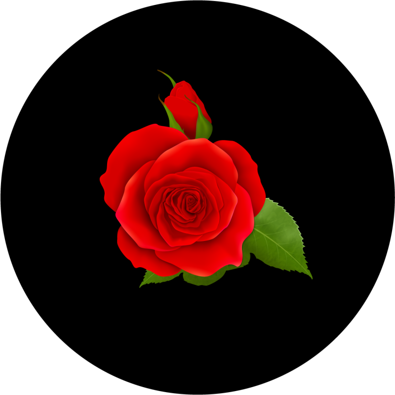 tapis vinyle rond Rose rouge sur fond noir - TenStickers
