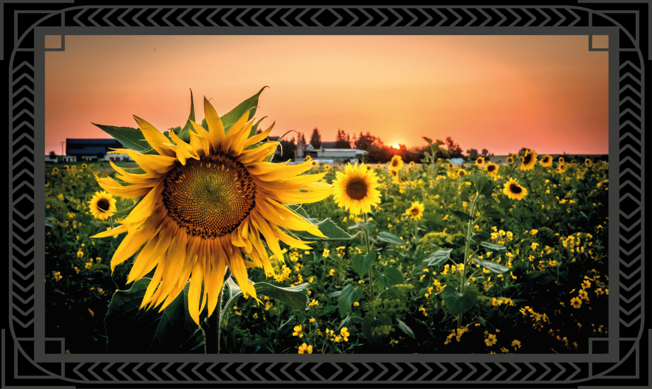 Tapis vinyle plantes coucher de soleil tournesol - TenStickers