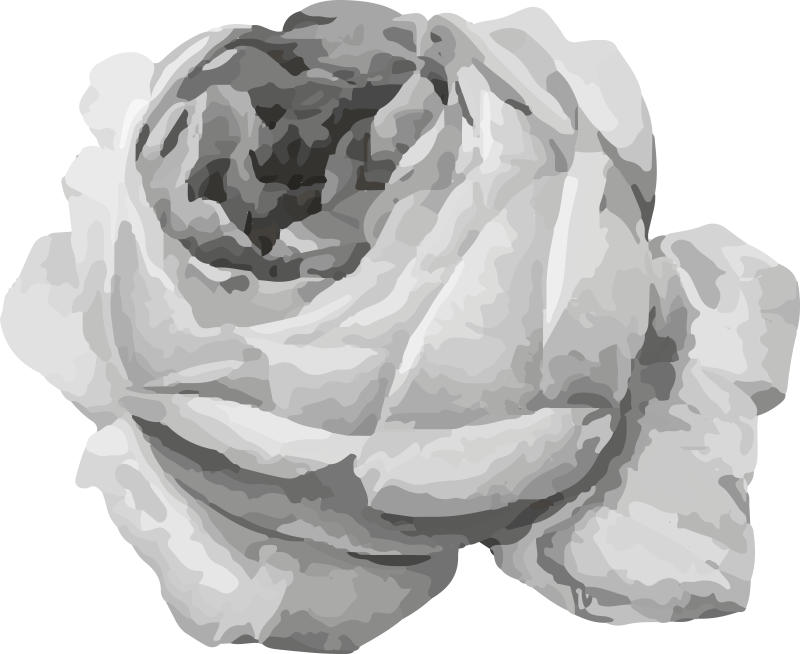 Tapis vinyle plantes fleur de rose - TenStickers