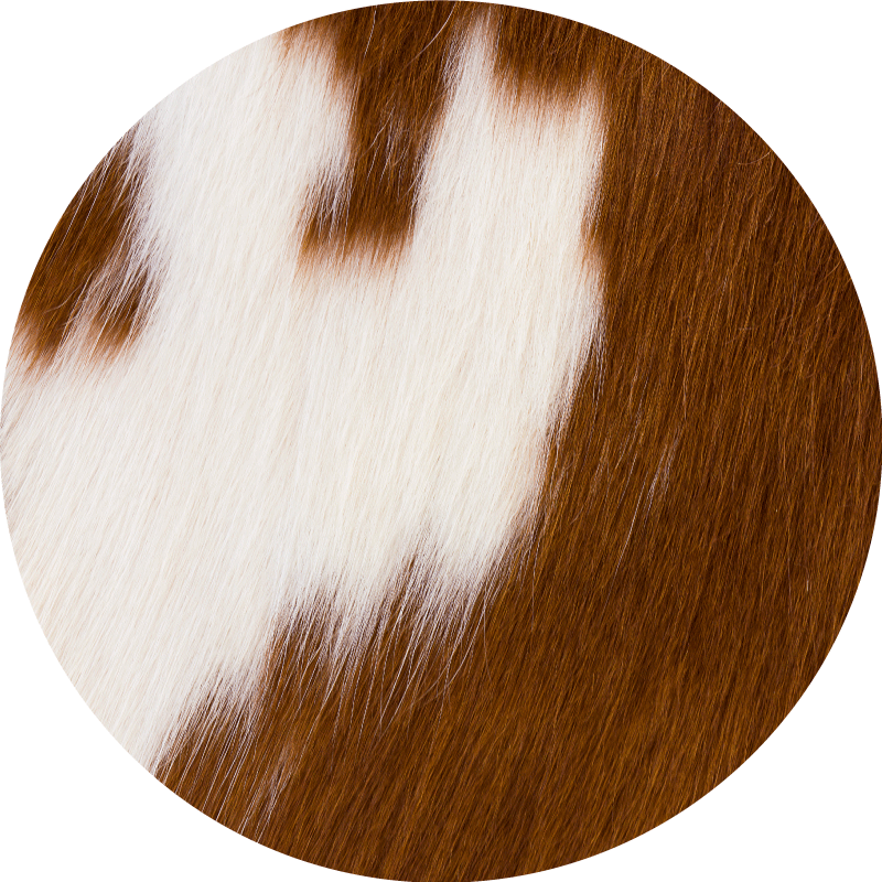 Tapis vinyle motif animal représentation de peau de vache - TenStickers