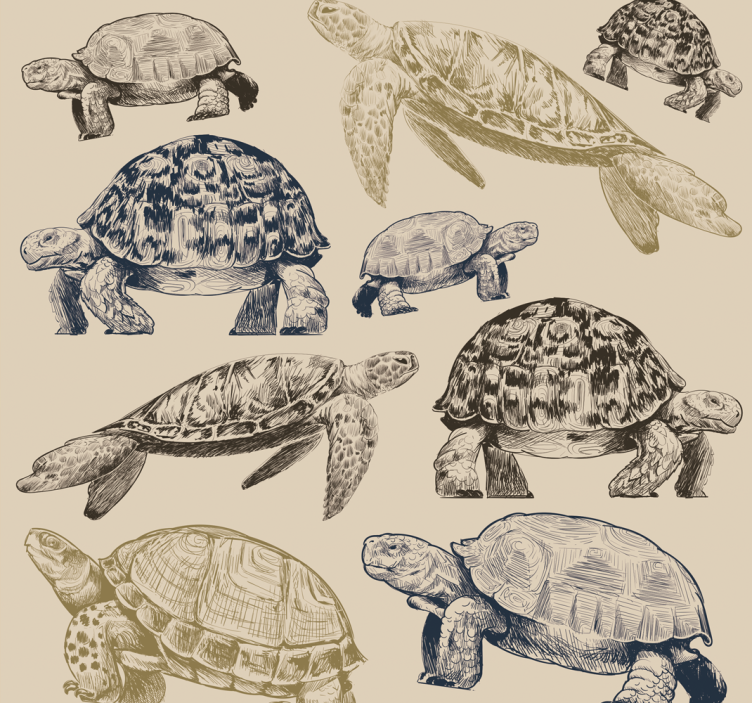 Papier peint animaux collection de tortues - TenStickers