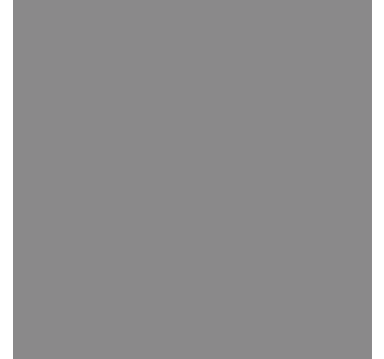 Papier peint salon motif couleur grise - TenStickers
