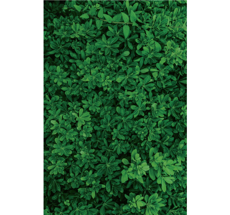 Papier peint nature vert profond - TenStickers