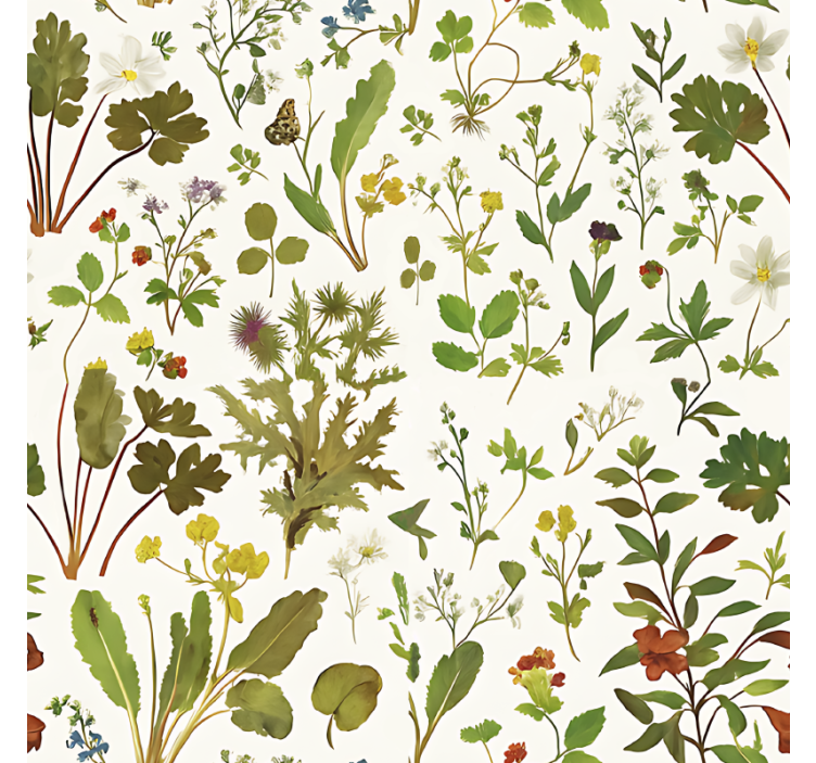 Papier peint chambre adulte design botanique fond blanc - TenStickers